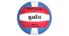 Gala BV4051S Training Mini volejbalový míč č. 4