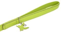 WAUDOG Plochý obojek a vodítko zelený set 18-21cm, šířka obojku: 9mm + vodítko průměr 9mm