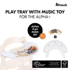 Hauck Alpha Play Music Set Zebra