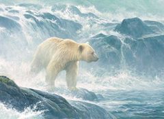 Cobble Hill Puzzle Číhání na lososy - Lední medvěd 500 dílků