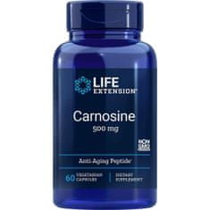 Life Extension Doplňky stravy Carnosine