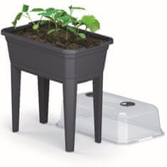 botle Mini skleníková nádoba na dřevěné uhlí šedá s víkem květináč na pěstování sazenic zeleniny