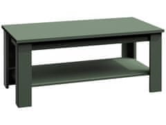 KONDELA Konferenční stolek Provance ST2 - zelená