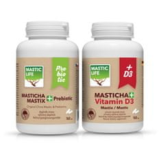 Mastic Life Masticha ACTIVE Pack (320 kapslí)