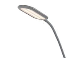 Rabalux  ADELMO LED stojací lampa 74010