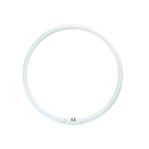 Fulgur  YH 40W/4000K úsporná kruhová zářivka, studená bílá