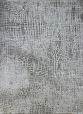 Berfin Dywany Kusový koberec Dizayn 2329 Grey 80x150