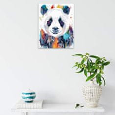 Malujsi Malování podle čísel - Panda v barvách - 40x50 cm, bez dřevěného rámu