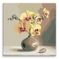 Malujsi Malování podle čísel - Orchidej - 80x80 cm, plátno vypnuté na rám