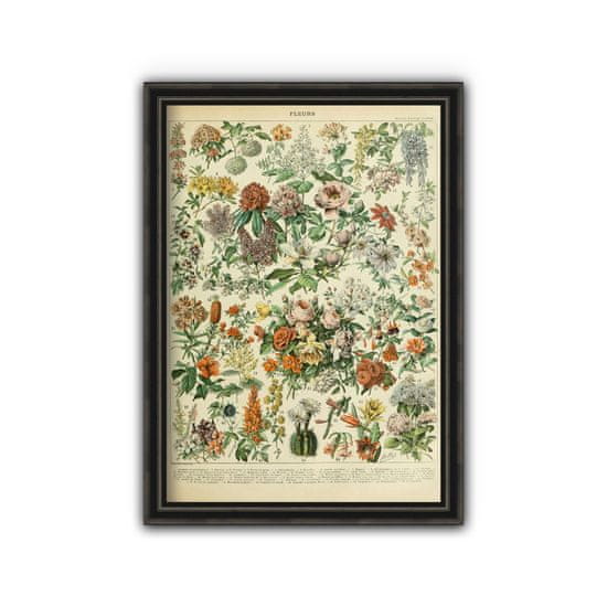 Vintage Posteria Retro plakát Adolphe Millot květiny