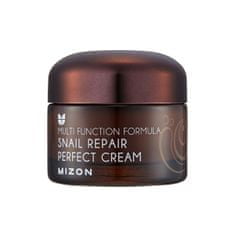 MIZON Pleťový krém s filtrátem hlemýždího sekretu 60% pro problematickou pleť (Snail Repair Perfect Cream)