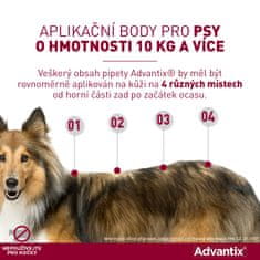 Bayer Advantix pro psy spot-on nad 25kg 1x4 ml