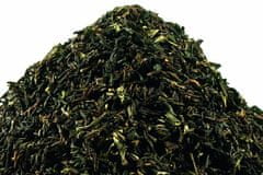Čajová zahrada India Darjeeling TGFOPI Thurbo - černý čaj, Varianta: černý čaj 500g