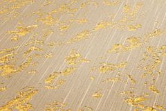 Profhome Textilní tapeta ornament Profhome 306602-GU reliefná lesklá béžová zlatá 5,33 m2