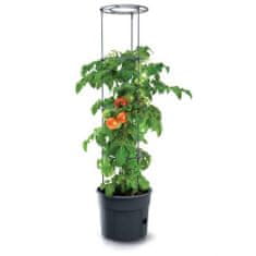 Prosperplast Květináč na pěstování rajčat TOMATO GROWER, 39,2 cm, max. výška: 153 cm, antracit