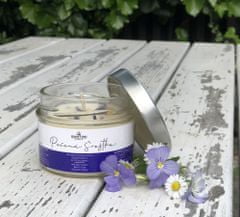 Santini Cosmetics Přírodní svíčka ze včelího vosku - Pečená švestka