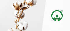 INNA Plážová osuška NEON barva celadonově bílá 100x160cm 380g bavlna