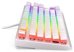 Endorfy herní klávesnice Thock TKL OWH Pudd.Kailh RD RGB /USB/ red sw. / drátová / mechanická / US layout / bílá RGB