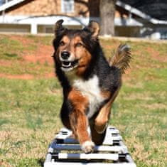 Brunbo Psí výcvikový žebřík, dog agility, dog fitness
