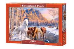 Castorland Puzzle CASTORLAND 500 dílků - Zimní tání