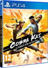 Maximum Games Cobra Kai: The Karate Kid Saga Continues PS4