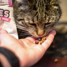 Akinu MINI STICKIES hovězí, krůtí a lososové kousky pro kočky 50 g