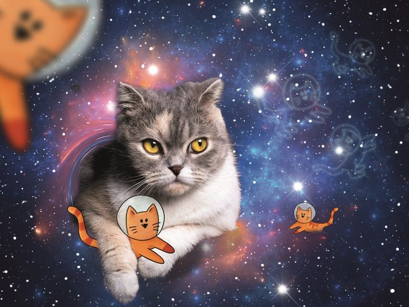 Levně Ravensburger Kočka ve vesmíru 1500 dílků - rozbaleno