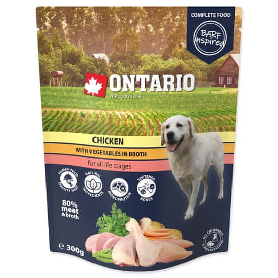 Ontario Kapsička kuřecí se zeleninou ve vývaru 300 g