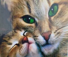 TADEKMARK Malování na plátno podle čísel plátno s rámem dvě kočky