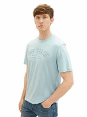 Tom Tailor Pánské triko Regular Fit 1037736.30463 (Velikost L)