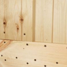 Greatstore Dveře 100 x 210 cm masivní borové dřevo