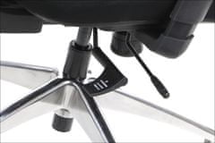 STEMA Otočná ergonomická kancelářská židle TREX, hliníková základna, nastavitelné područky, posuvný sedák (předozadní), černá