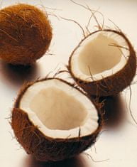 Allegria kokosový sen - thajská kokosová masáž Mladá Boleslav