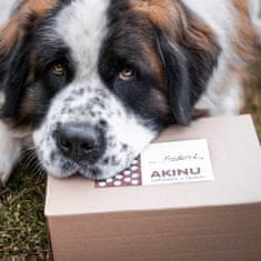 Akinu Masíčka box pro psy