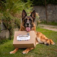 Akinu Masíčka box pro psy