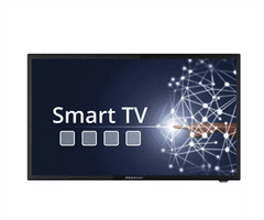 Megasat Megasat Camping TV Royal Line IV SMART 24", 60,5cm (23,8"), Android 11.0