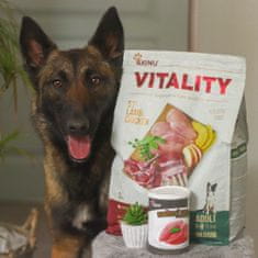 Akinu VITALITY dog adult medium lamb & chicken 3kg