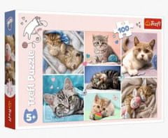 Trefl Puzzle 100 dílků V kočičím světě