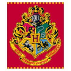 Eplusm Dětská fleecová deka Harry Potter Hogwarts flag - 120 x 150 cm