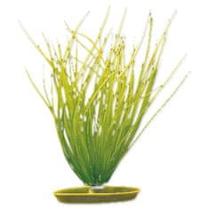 Hagen Rostlina MARINA Hairgrass 20 cm 1 ks