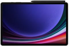 Samsung Galaxy Tab S9 Ultra 5G, 12GB/512GB, Gray