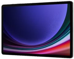 Samsung Galaxy Tab S9 Ultra 5G, 12GB/512GB, Gray - rozbaleno