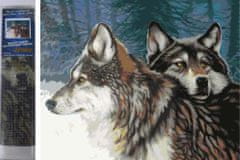 Norimpex Diamantové malování Vlci v zimě 30x40cm