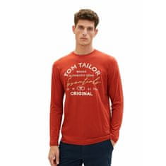 Tom Tailor Pánské triko Regular Fit 1037744.14302 (Velikost L)