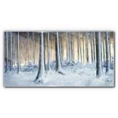 COLORAY.CZ Obraz na skle Abstrakce zimní sen příroda 100x50 cm