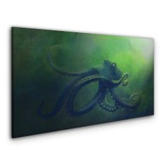 COLORAY.CZ Obraz na plátně vodní ryby chobotnice 100x50 cm