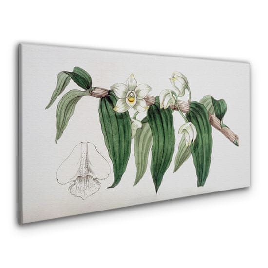 COLORAY.CZ Obraz na plátně Kreslení květinové větve orchideje