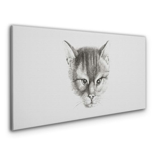 COLORAY.CZ Obraz na plátně Kreslení zvířat kočka