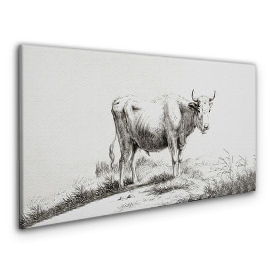 COLORAY.CZ Obraz na plátně Kreslení krávy zvířat