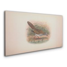 COLORAY.CZ Obraz na plátně Ptáci zvířata kreslení 100x50 cm